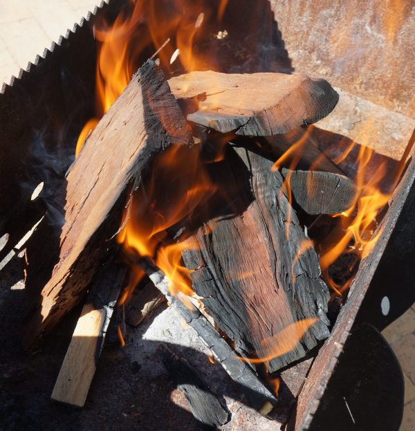 23kg Bluegum Fire wood - Image 3